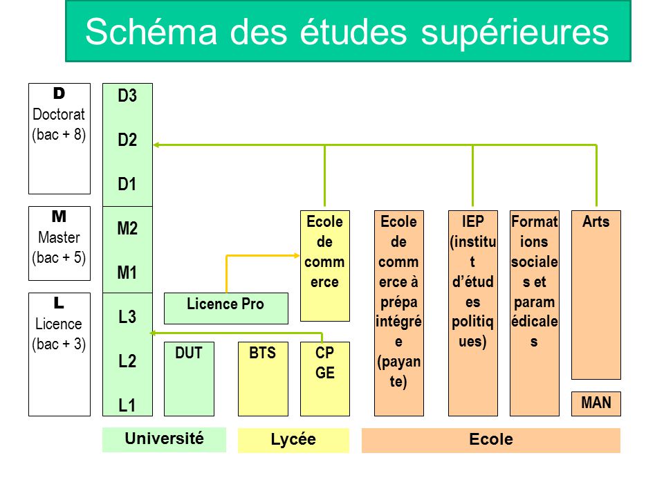 Sch Ma Des Tudes Sup Rieures Ppt T L Charger